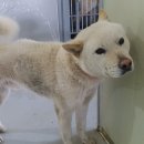 낙동북로 이미지