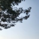 청계5가지하쇼핑센터 이미지