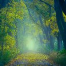 더블에스 수원시청 이미지