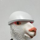 한국전력공사(본관1층) 이미지