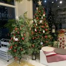 예울초등학교 | 여수 웅천동 카페 그모 이쁜 크리스마스 트리가 있는 감성 카페