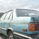 최신영화 스텔라 이미지