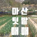 합성동270 이미지