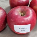 신명길R 이미지