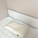 알레르망 알러지 케어 워셔블 경추 베게 추천 후기