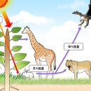 정등에너지 이미지