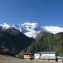 별빛하루 이미지