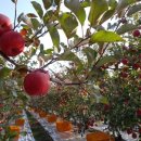 달밭농장 이미지