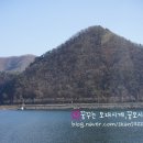 왈츠와닥터만 이미지