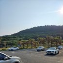 진지 | 제주 함덕 가볼만한 곳 서우봉 진지동굴 주차정보 산책후기