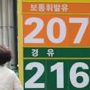 서울 유통 인력 SBS