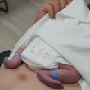 은혜 산후조리원 | [은평구/불광역] 은혜산부인과 연계 은혜 산후조리원 추천, 2주 이용 후기 + 출산 후 치질로 고생한 썰