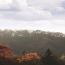 서울-삼동-삼동01 이미지