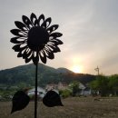 명지산 패밀리 펜션 이미지