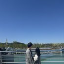 [임신일기] 임신19주차 / 성심당 임산부 프리패스&amp;할인 🥨🍞🥖 / 건강검진