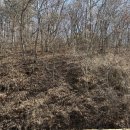 주교3리 마을회관 이미지