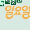 녹색바구니 이미지