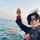 항해진미 이미지