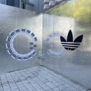 자카드 고민하다 아디다스 한남 갔는데 25.11.01 와싯 붙어있어요! 이미지