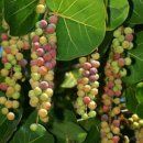 이로운바다 이미지