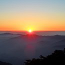술섬