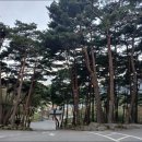 웰니스 호텔 인산가 이미지