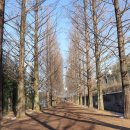 메타세쿼이어길 화장실 이미지