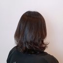 다소니헤어 - 북구 | 다소니헤어