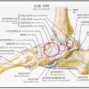 예감당한의원 이미지