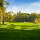 돌고래게임장 이미지