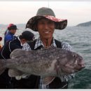 인천유선 이미지