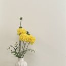 렐로우 이미지
