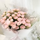 로라스텝 네이버블로그