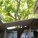 동삼1동-9 이미지