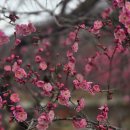 참꽃공방