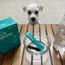 상아펫케어 이미지