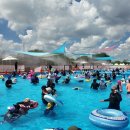 삼락생태공원 이미지