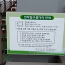 연하엽구름다리 이미지