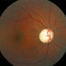 풀잎한의원 이미지