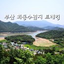 회동수원지 이미지