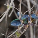 우성초등학교 이미지