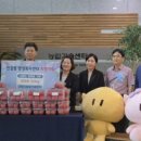 토마토25시 이미지