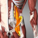 해부학적운동 성내점 이미지