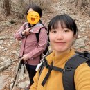 엄마랑 걷는 🌼🌺 봄의 능선길 - ⛰️소백산 어의곡 탐방로 후기