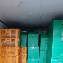 조은익스프레스 이미지