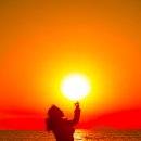 해를 담다 이미지