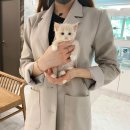 도봉-도봉-2431 | 고양이분양 알아보시는 중이라면 캣통령으로 !