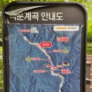 백운힐링밸리 | ​[포천 계곡 추천] 백운계곡 리얼 방문기! 주차 꿀팁부터 명당 데크길까지 총정리