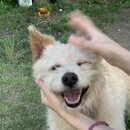 꽃과 그늘 이미지