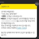 레몬트리 이미지